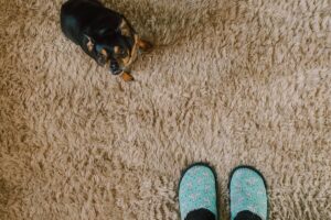 Teppich reinigen ► Flecken entfernen leicht gemacht