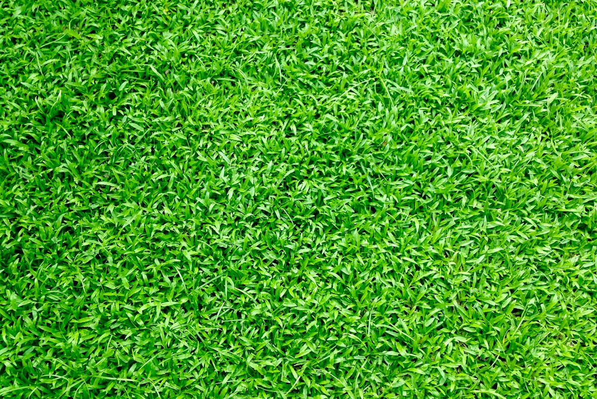 Grasflecken entfernen Tipps für Textilien