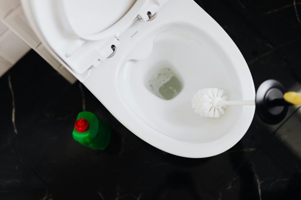 WC-Bürste säubern