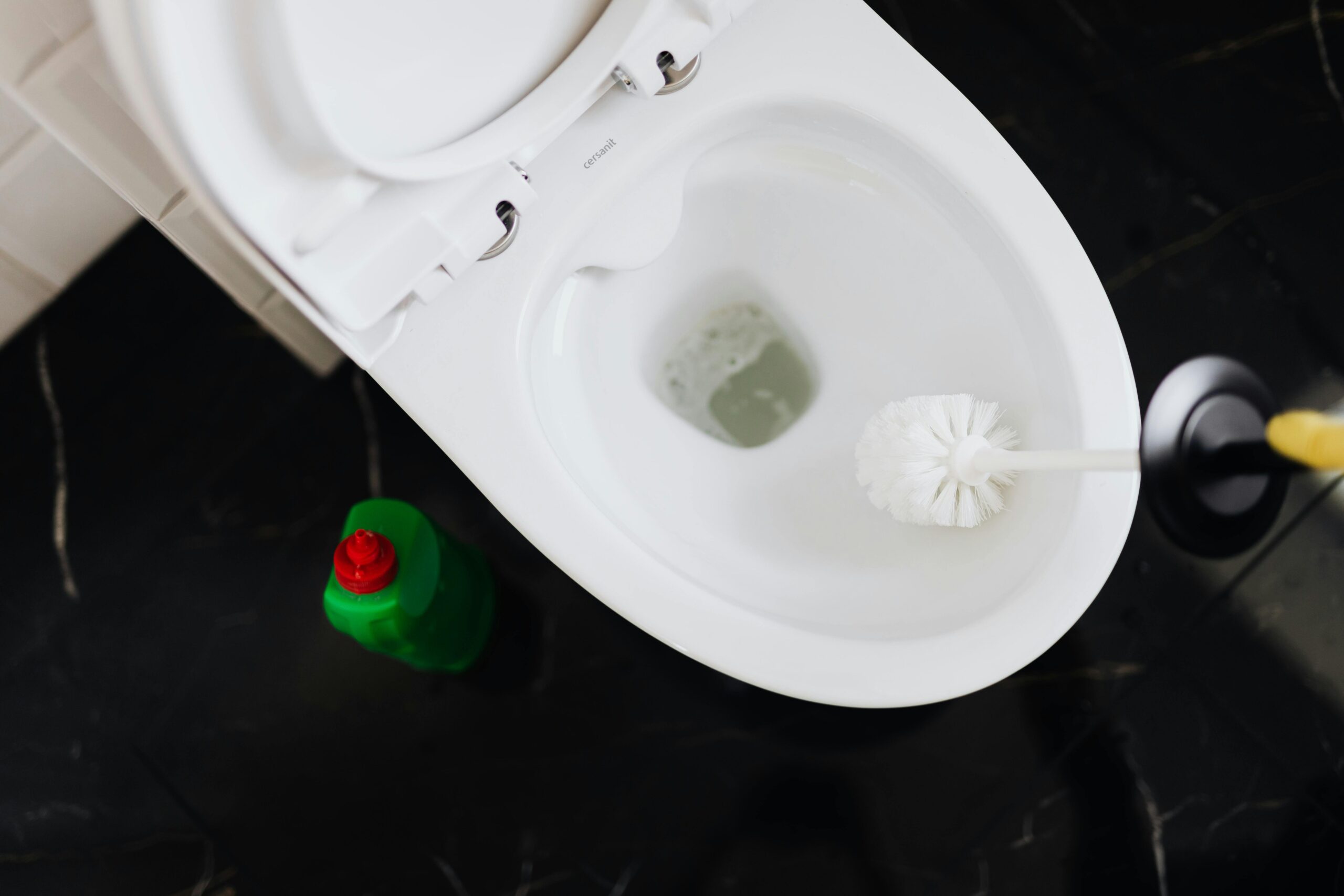 WC-Bürste richtig säubern · hygienisch & geruchsfrei