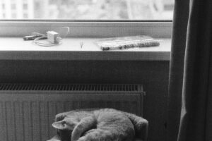 Heizkörperventil säubern ► besser regulieren