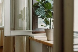 Flecken auf Fensterbank entfernen | schnell & einfach