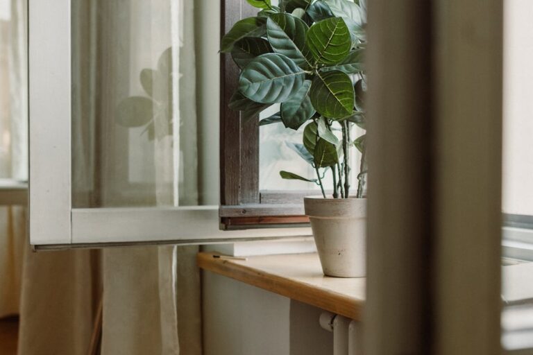 Flecken auf Fensterbank entfernen | schnell & einfach