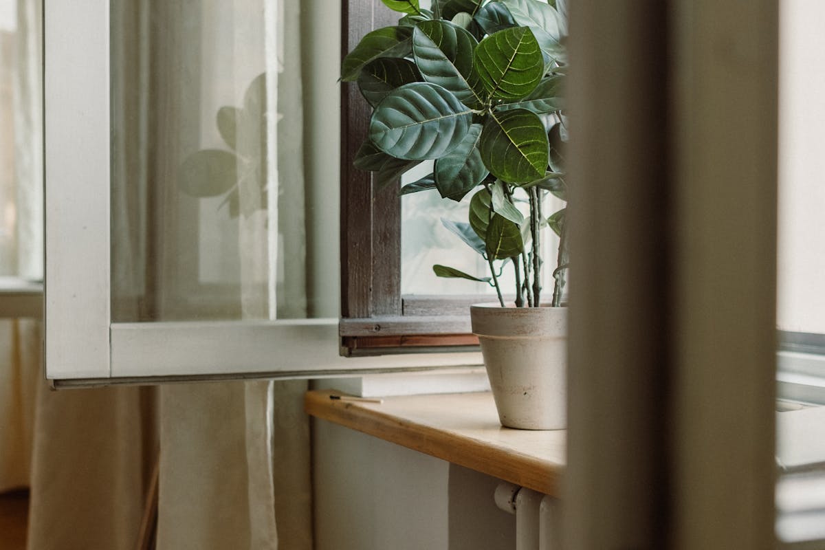 Flecken auf Fensterbank entfernen | schnell & einfach