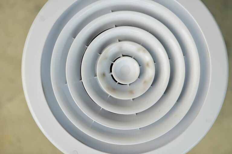 Lüftung im Badezimmer reinigen | Schimmel vermeiden