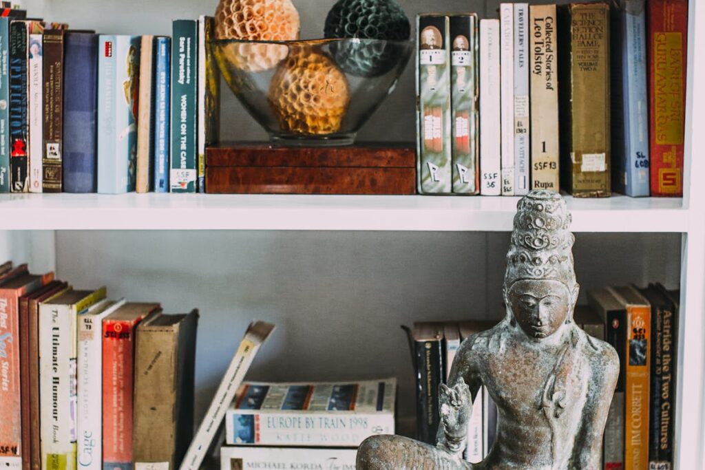 Staub auf dem Bücherregal · clever entfernen ohne Aufwand