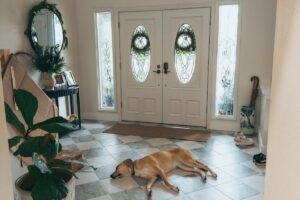 Eingangsbereich sauber halten · auch bei Regenwetter