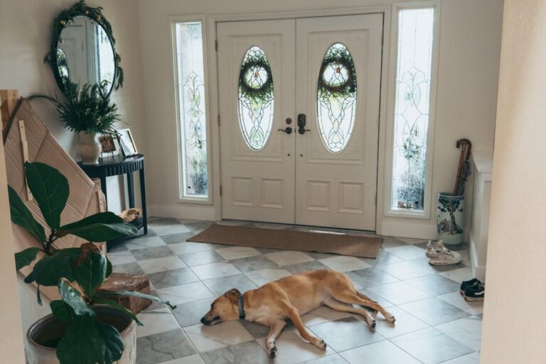 Eingangsbereich sauber halten · auch bei Regenwetter